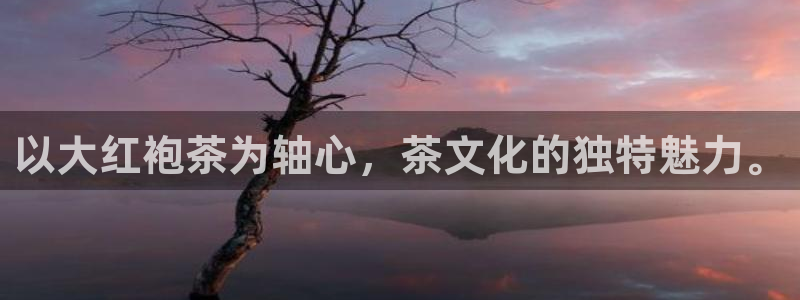 金年会官方体育登录入口