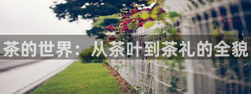 金年会澳门6766