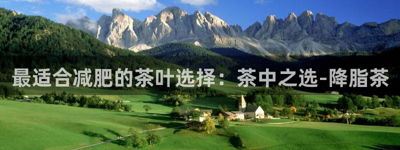 金年会下载官方