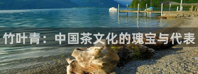 金年会菲律宾
