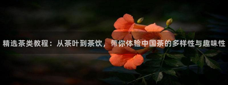 金年会体育平台入口
