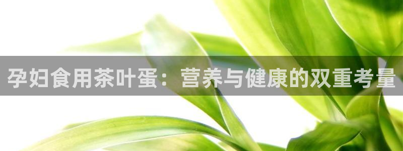 金年会官网