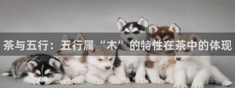 金年会官网app下载