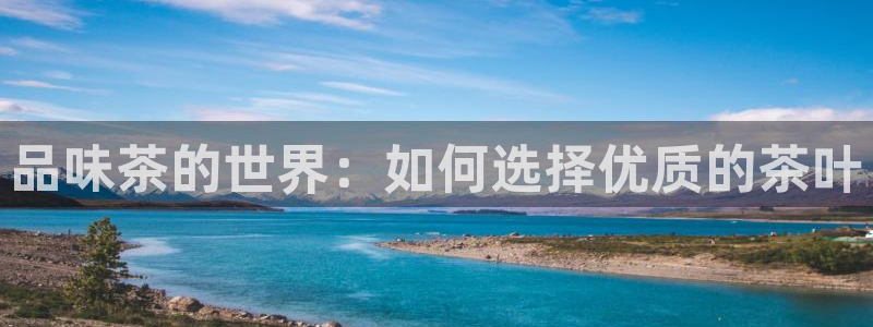 金年会平台游戏