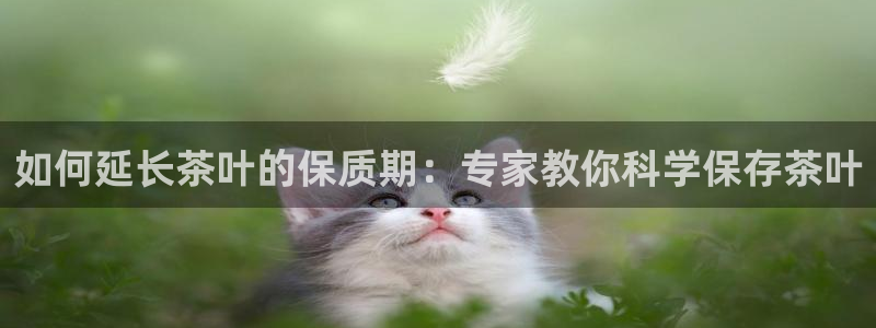 金年会101