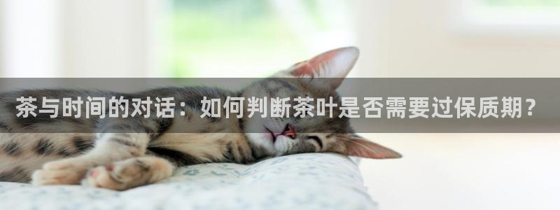 金年会 信誉至上