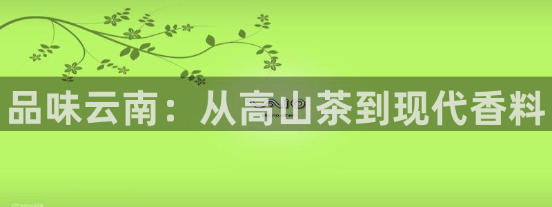 金年会体育苹果下载