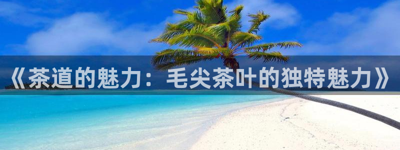 金年会官方客服电话