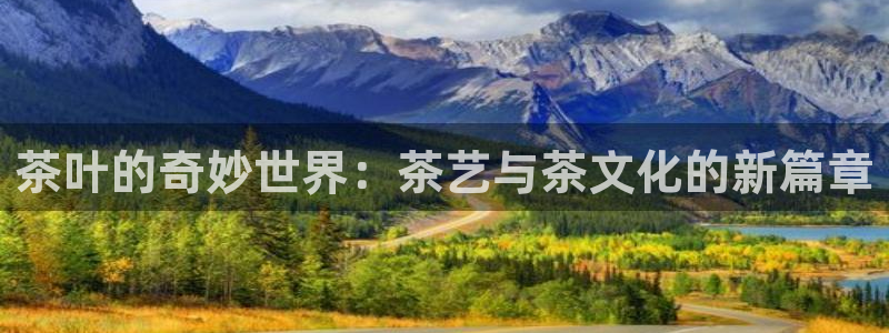金年会游戏官网