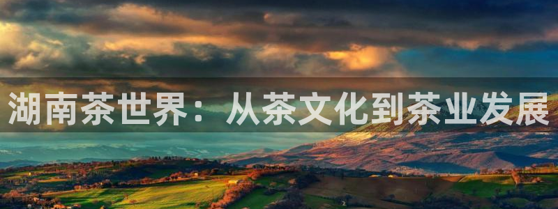 金年会是正规平台吗