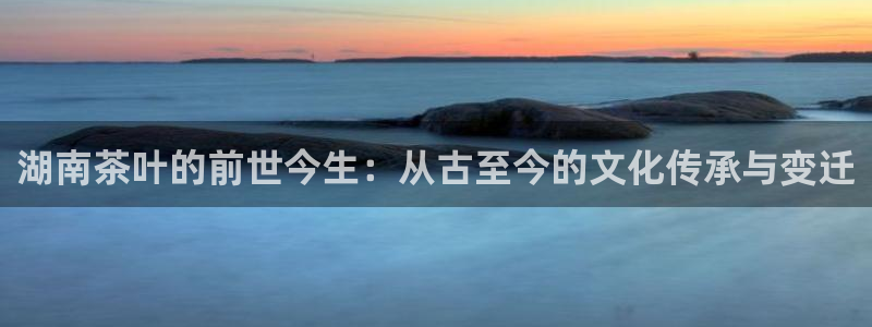 金年会平台包赔