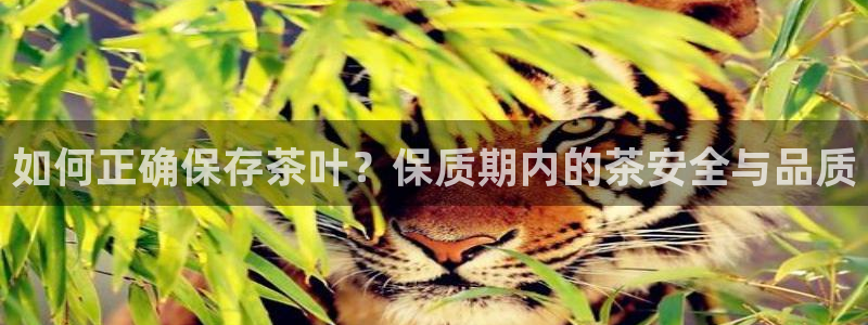 金立年会