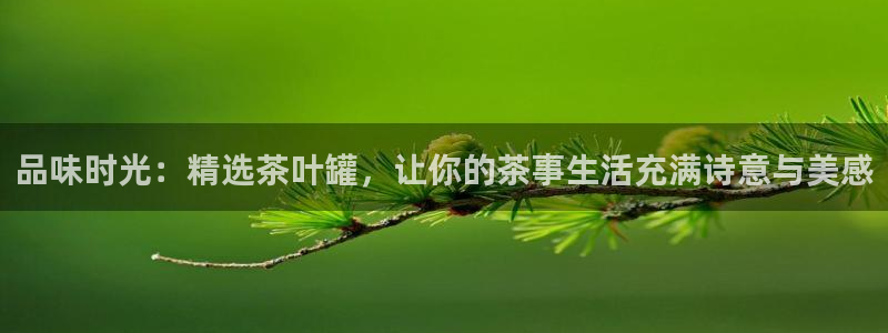 金顶年会