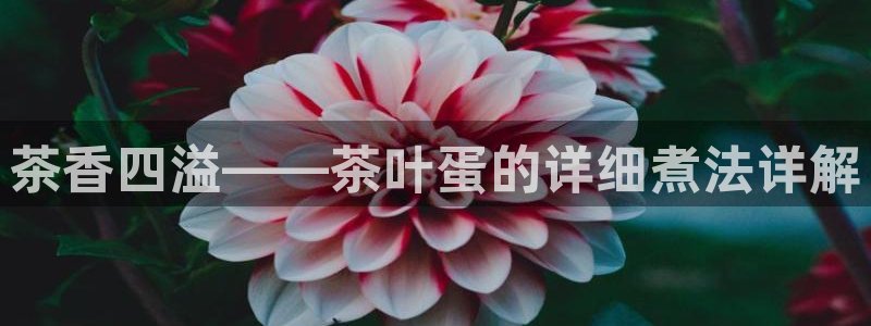 为什么搜索不了金年会