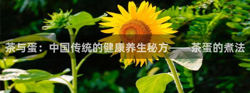 金年会入口