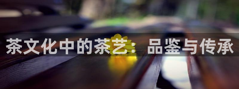 金年会入口网站