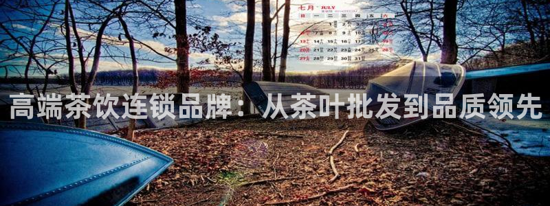 金年会官网app