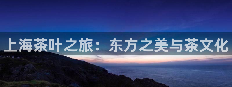 金诺利年会