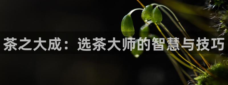 金年会体育官方网站入口