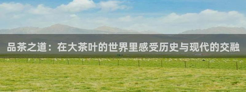 金年会赞助曼联