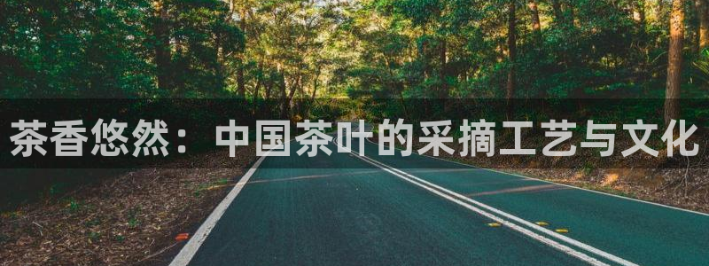 金年会体育官方网站入口