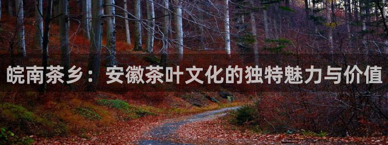 金年会游戏官网