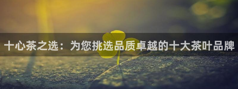 金年会体育官网