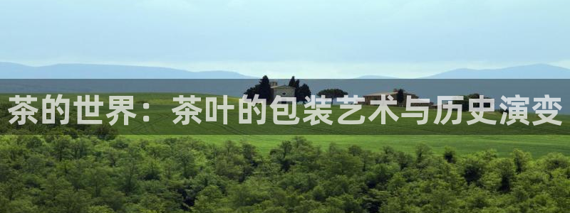 金年会app下载官网