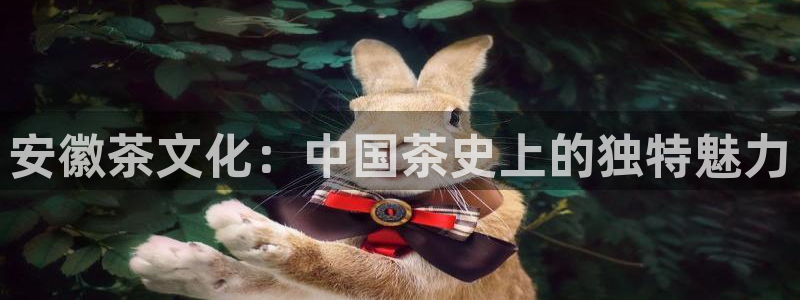 金年会手机app