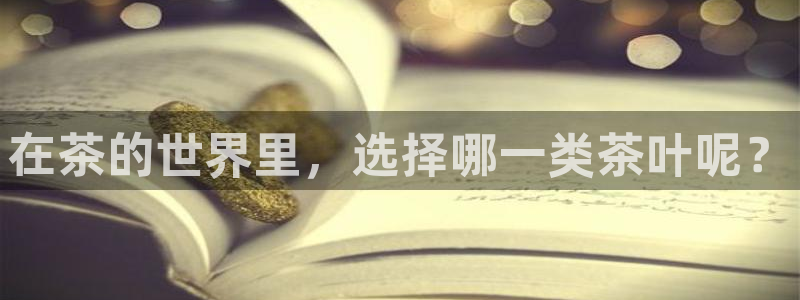 金年会最新官网