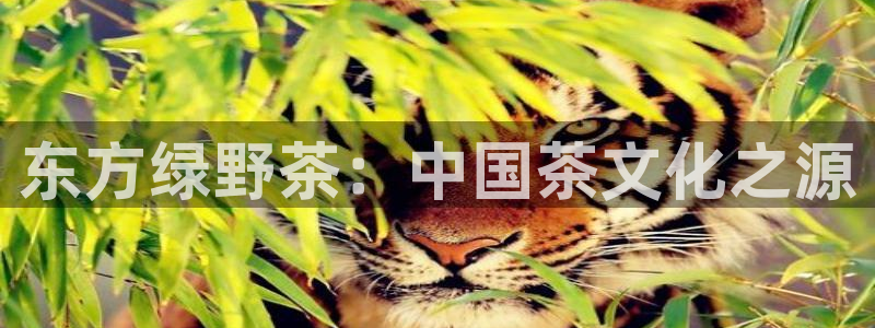 金年会在线入口