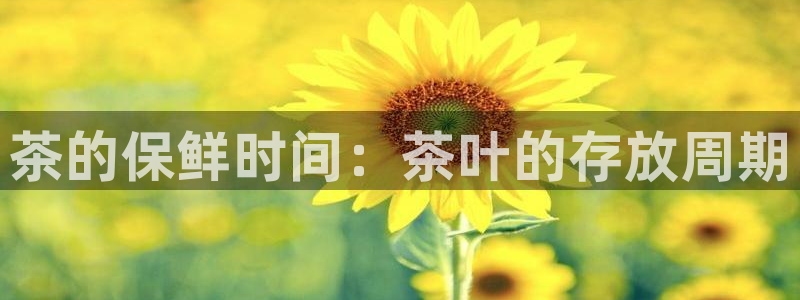 金年会金字招牌下载