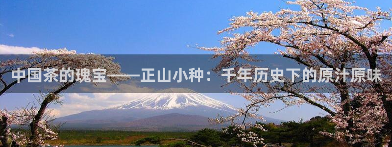 金年会网官网新版