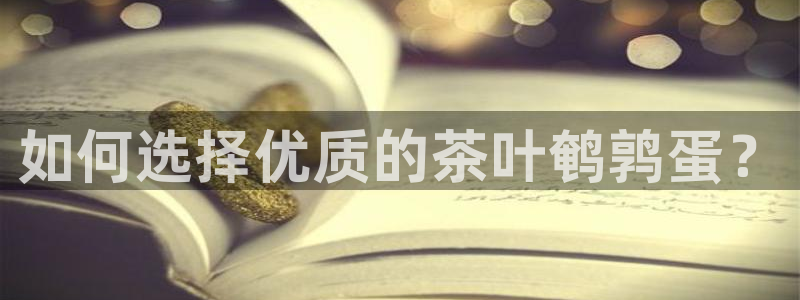 金年会app桌面