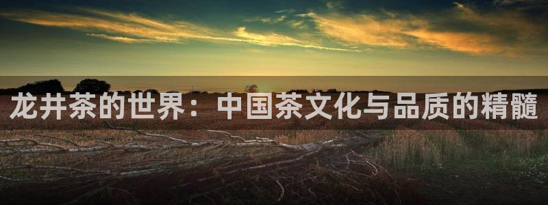 金年会入口网站