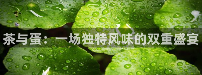 金年会这个平台