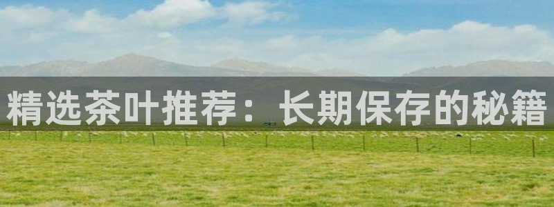 澳门金年会棋牌