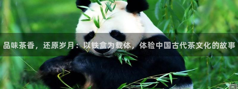 金年会娱乐-平台登录