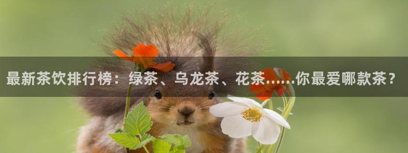 金年会娱乐下载app